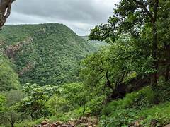 Gateway to Nallamala Forest in Markapur District