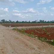 Red Soil Farming Region